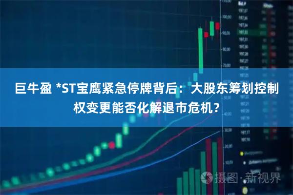 巨牛盈 *ST宝鹰紧急停牌背后：大股东筹划控制权变更能否化解退市危机？