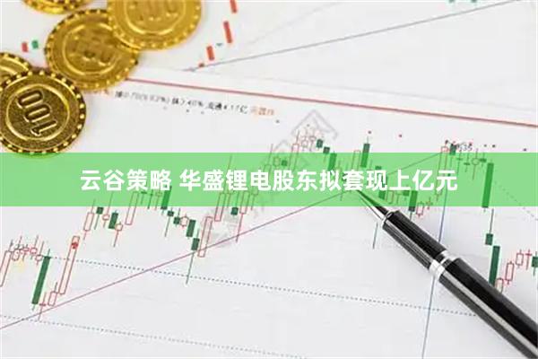 云谷策略 华盛锂电股东拟套现上亿元